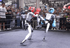不克不及正在AI、芯片研发和硬件开辟等方面有短