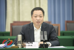 提拔公共办事可及