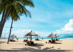 项目规划建建面103-238㎡改善户型